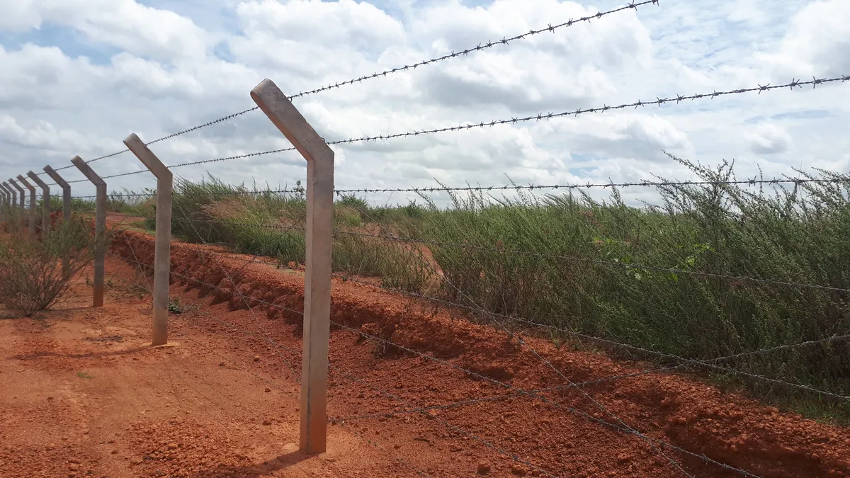Barbed Wire Fence